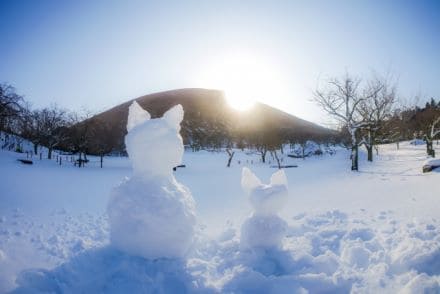 フロントガラスにヒビが入る原因と修理